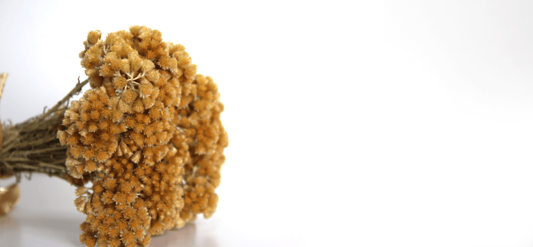 Ingredients Helichrysum